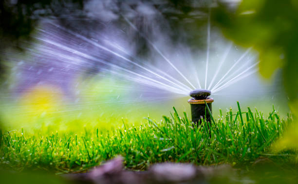 istock automatic sprinkler system watering the lawn on a background of green grass 960436080