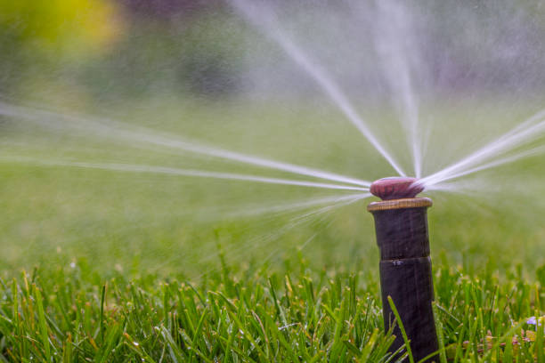 istock automatic sprinkler system watering the lawn on a background of green grass 960436100