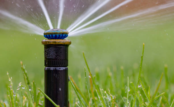 istock automatic sprinkler system watering the lawn on a background of green grass 960436136