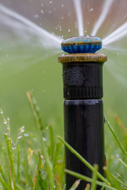 istock automatic sprinkler system watering the lawn on a background of green grass 960436140