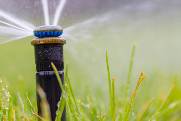 istock automatic sprinkler system watering the lawn on a background of green grass 960436152