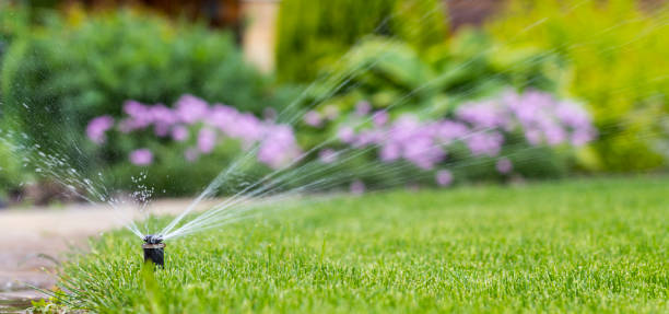 istock automatic sprinkler system watering the lawn on a background of green grass 960436156