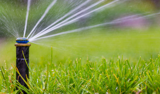istock automatic sprinkler system watering the lawn on a background of green grass 960436162