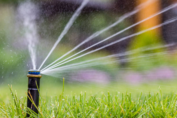 istock automatic sprinkler system watering the lawn on a background of green grass 960436170