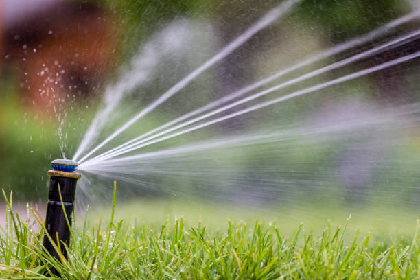 istock automatic sprinkler system watering the lawn on a background of green grass 960436174