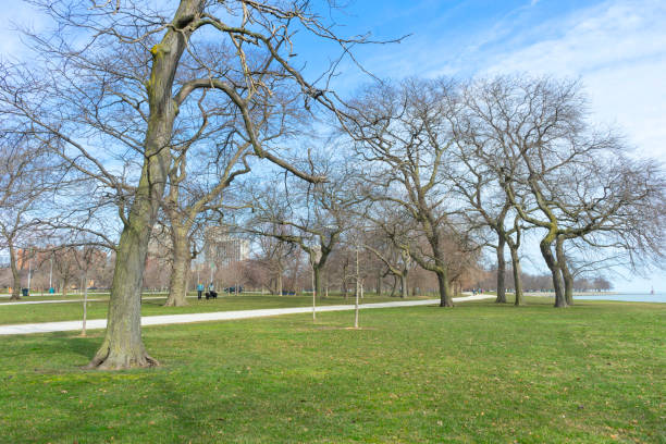 istock Chicago beautiful park by lake Michigan 960439056