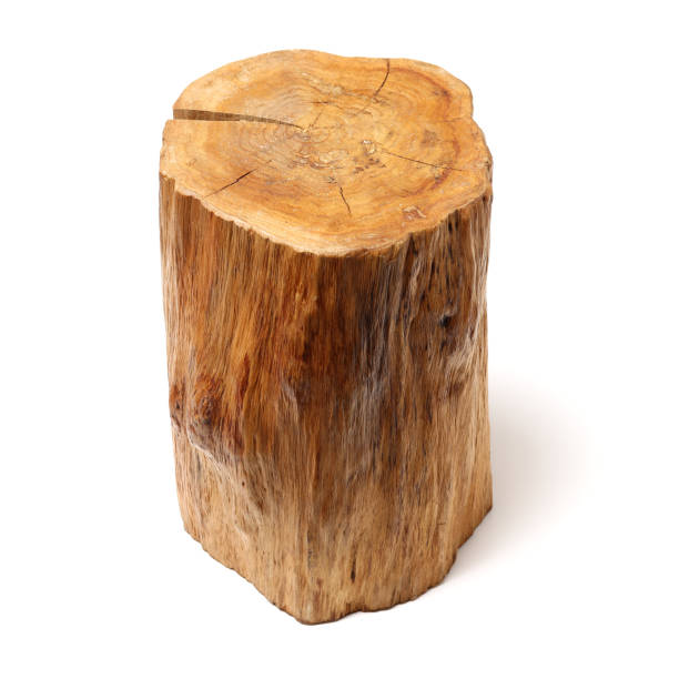 istock Log Wood isolated on a white background 960440086