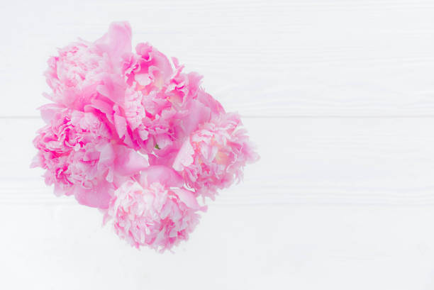 peonie 花 - cut flowers rose purple flower arrangement ストックフォトと画像