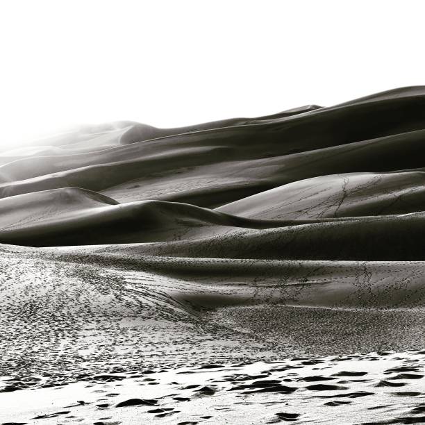 istock Great Sand Dunes National Park 960443774