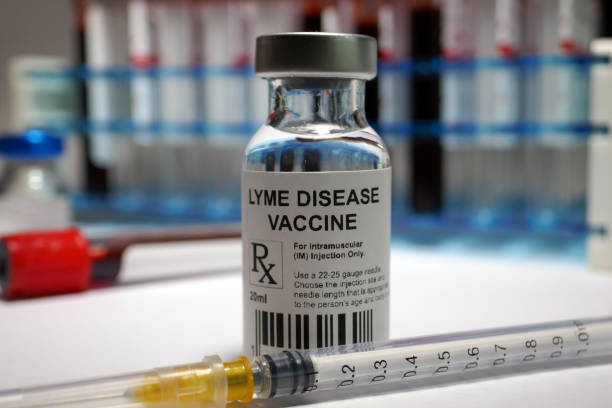 lyme disease vaccine - lyme disease imagens e fotografias de stock