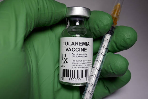 istock Tularemia vaccine 960446242