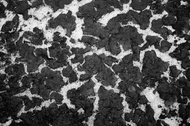 a textura do fundo da areia do reservatório e o acúmulo de sedimentos na parte superior. plano de fundo. preto e branco imagem - silt sand textured black sand - fotografias e filmes do acervo