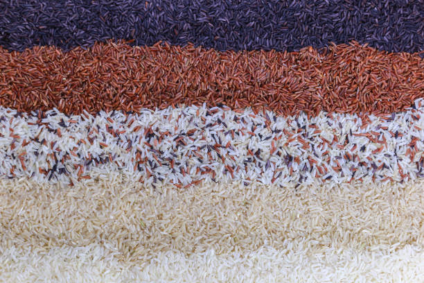 istock Food background with top view of five rows of rice. 960458264