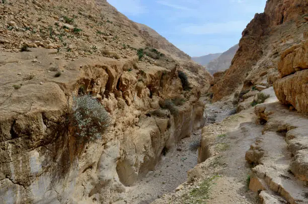 Wadi Murabba'at canyon (Nahal Darga )- ravine cut by a seasonal stream running from Judean desert, Israel