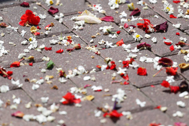 istock Spotted flowers on the sidewalk 960465844