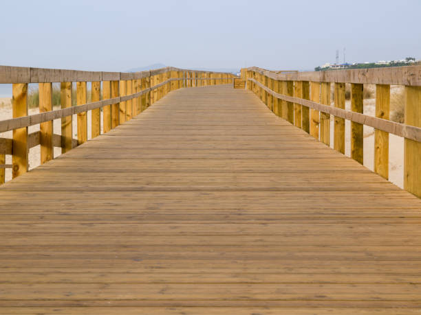 istock wooden footbridge on the beach 960469284