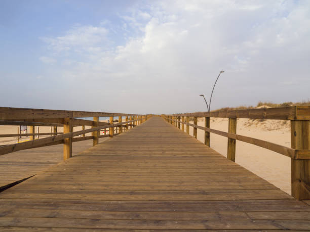 istock wooden footbridge on the beach 960469636