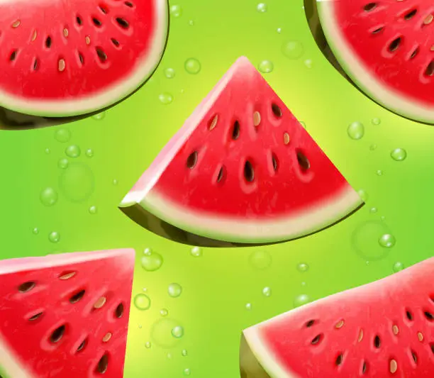 Vector illustration of Watermelon realistic on green background vector