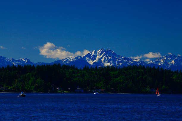 istock Mount Cruiser-Olympic National Park,Washington state 960472168