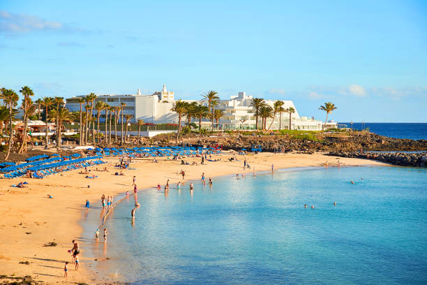 Beautiful landscape of Lanzarote Island Panoramic view of Playa Blanca, Beautiful landscape of Lanzarote Island, Canaries, Spain finch photos stock pictures, royalty-free photos & images