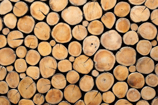 istock round teak wood stump background can use as wall paper 960475468