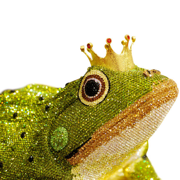 Frog on a white background. Lying green frog