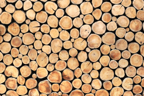 istock round teak wood stump background can use as wall paper 960475572