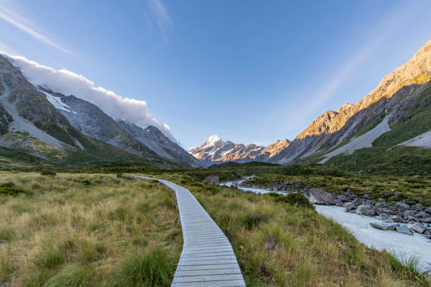 istock Boardwalk at Mount Cook National Park 960479310