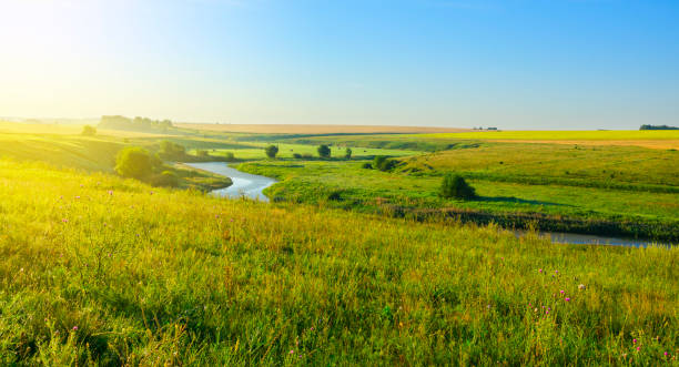 istock Sunny summer landscape with river.Green hills,fields and meadows on a background cloudless clear blue sky. 960484188