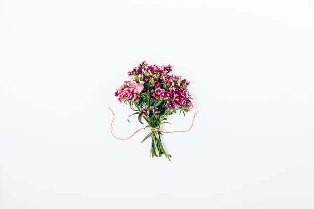 simple flat lay arrangement of tiny pink flowers - small bouquet imagens e fotografias de stock