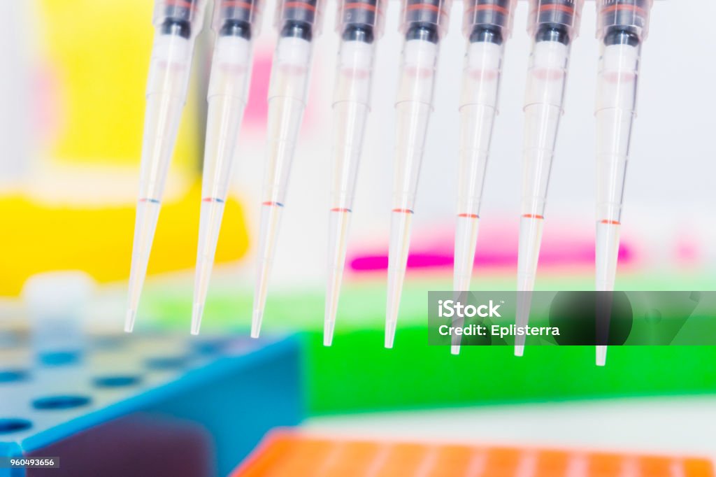 science 8 chanel pipette with drops of DNA Sample over laboratory test tubes. Science and medical background and laboratory supplies Analyzing Stock Photo