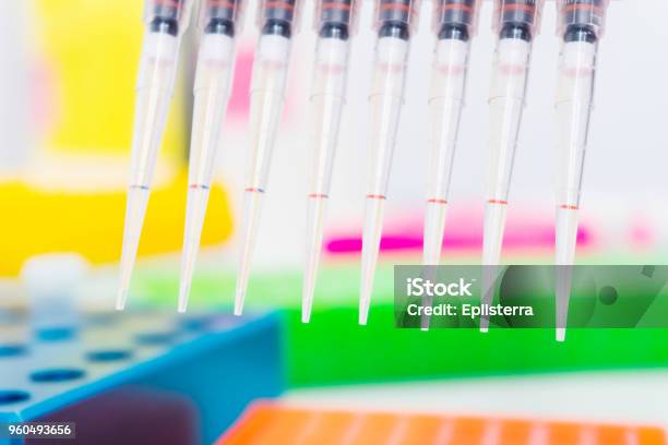 Science 8 Chanel Pipette With Drops Of Dna Sample Over Laboratory Test Tubes Science And Medical Background And Laboratory Supplies Stock Photo - Download Image Now