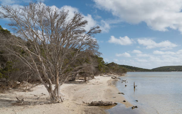 istock Fitzgerald River National Park, Western Australia 960496346