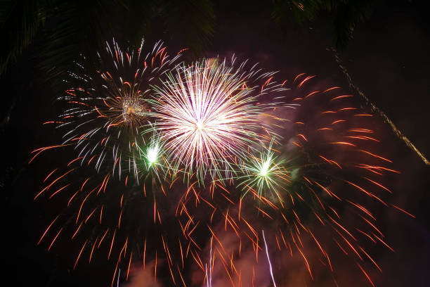istock Celebrate with fireworks on New Year's Day 960497258