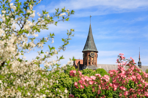 The Cathedral in the natural flowers frame, spring time