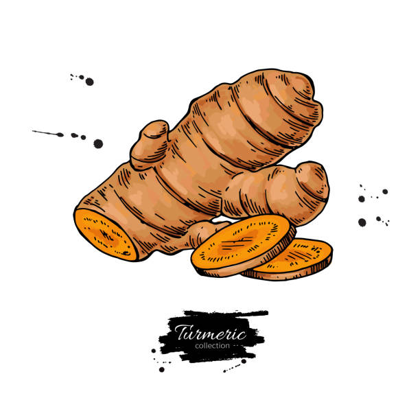Turmeric Draw 140+ Turmeric Powder Drawing Stock Illustrations, Royalty-Free Vector ...