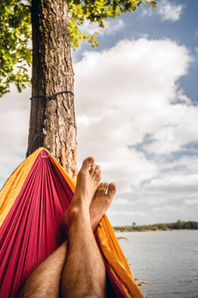 Relaxing in the hammock at the beach under trees, summer day stock photo