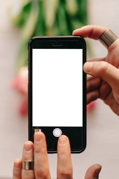istock hand holding phone with empty screen with space for text above pink tulips on white wooden rustic background.instagram photographer, blogging workshop concept. 960513392