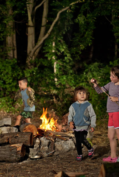 istock children play at the fire in the summer 960517572