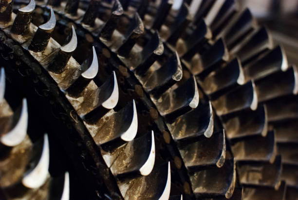 ship's power plant detail