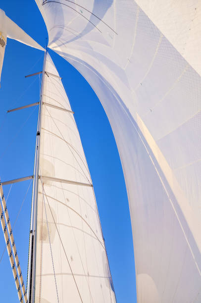 istock View from a sailboat's bow with mast and full sails 960531468