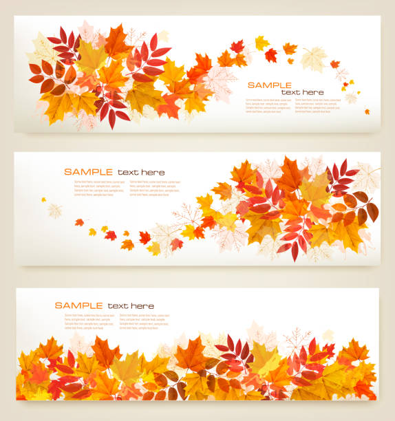 ilustraciones, imágenes clip art, dibujos animados e iconos de stock de conjunto de banners otoño abstractos con hojas coloridos vector - otoño