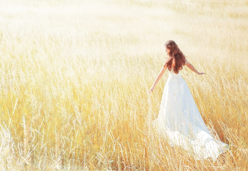 Bride in white wadding dress walking in yellow field, Woman Outdoors Fashion portrait, rear view