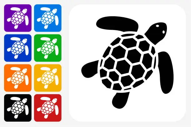 Vector illustration of Sea Turtle Icon Square Button Set