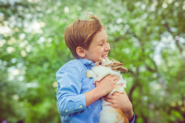 istock Cute boy with rabbit laying on grass in summer 960543744