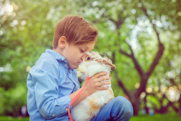 istock Cute boy with rabbit laying on grass in summer 960543748