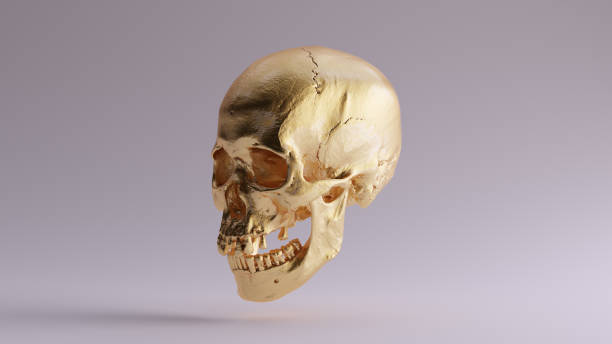 istock Gold Skull and Jaw Bone 3Q Left 960556782