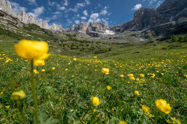 istock Dolomites in Trentino 960560102