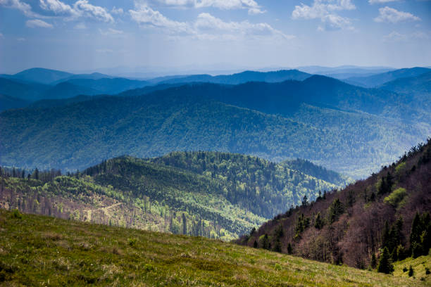istock panorama of the Carpathian mountains 960560168