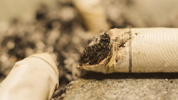 istock Burned cigarette butt, just the end of the cigarette after smoked 960563924